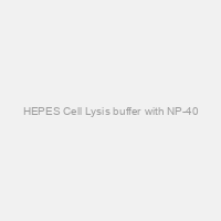 HEPES Cell Lysis buffer with NP-40